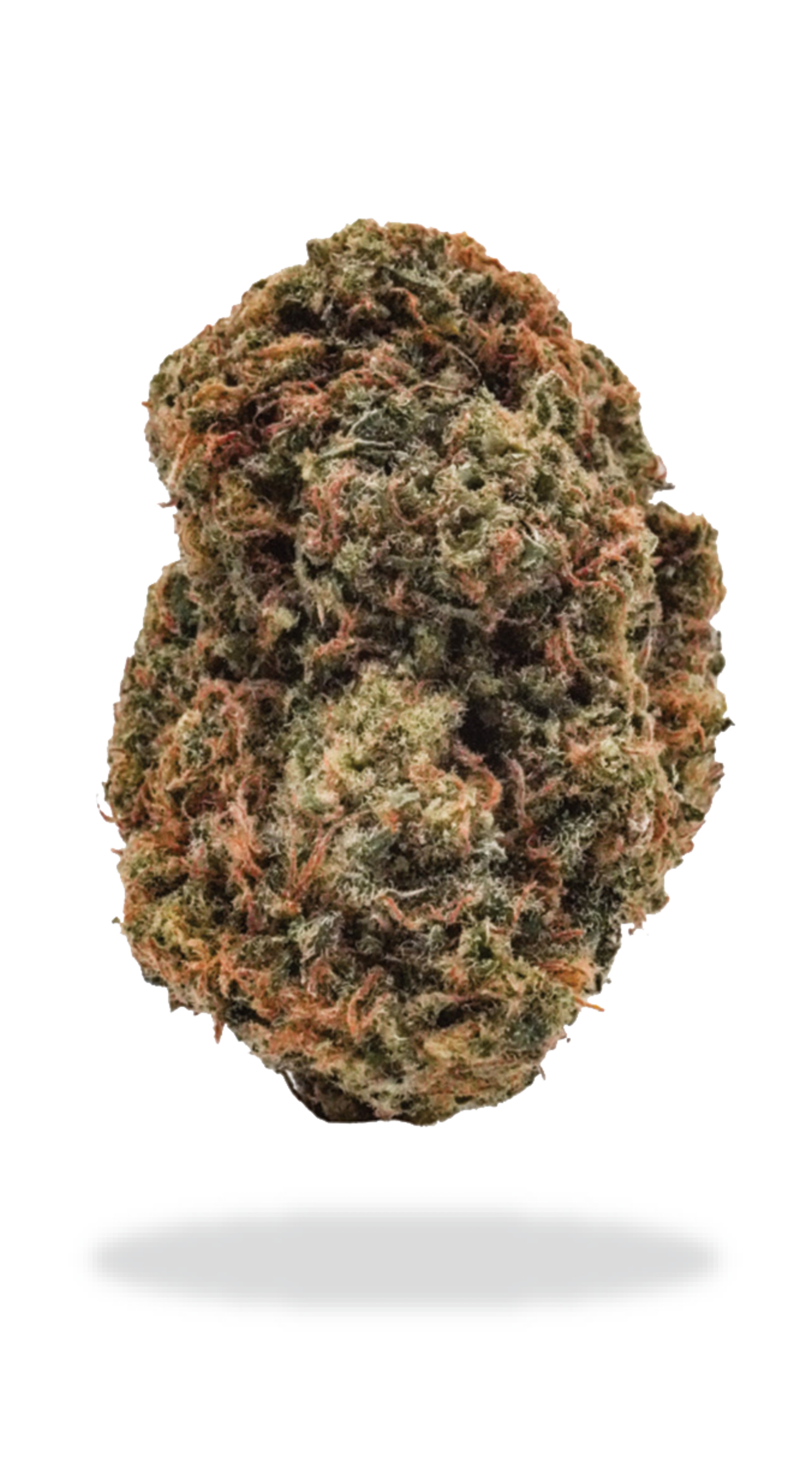 Joi Botanicals Super Lemon Haze | Smokey's