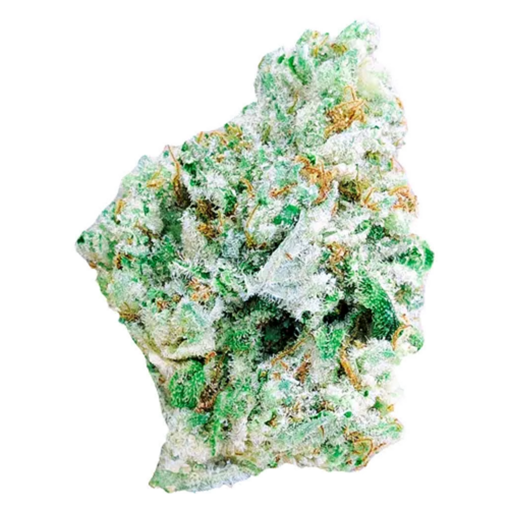 Pixel GG | Smokey's