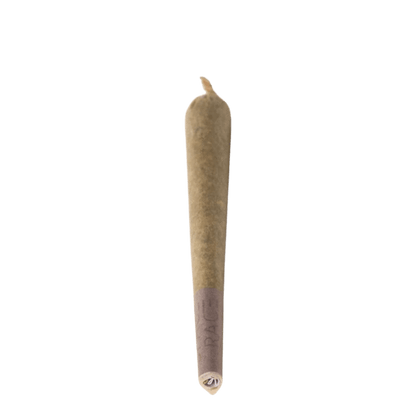 SPACE RACE Falcon Heavy Pre-Roll | Smokey's