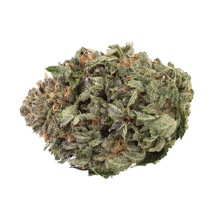 1964 Comatose | Smokey's