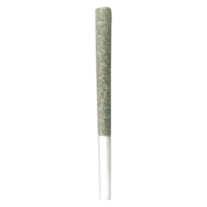Irony Gelato Punch Pre-Roll | Smokey's