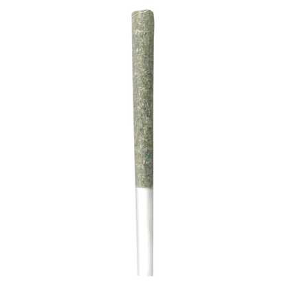 Irony Gelato Punch Pre-Roll | Smokey's