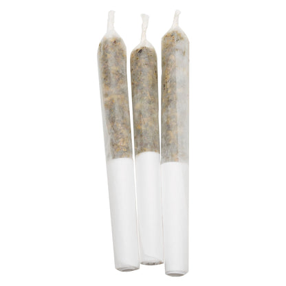 Lamplighter P.O.G. Infused Pre-Roll | Smokey's