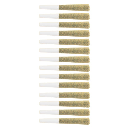 The Loud Plug Platinum Punch Pre-Roll | Smokey's