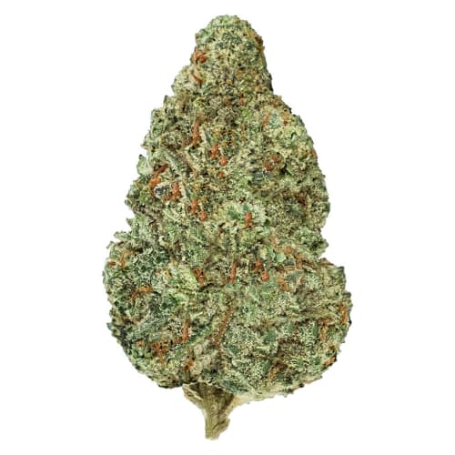 Back Forty Chemzilla | Smokey's