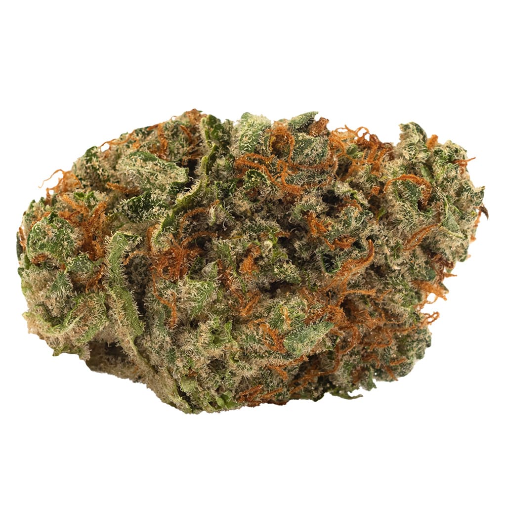 Endgame Pink Panties