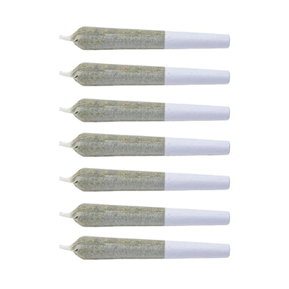 Puffin Paradise The Cloud Pre-Roll | Smokey's