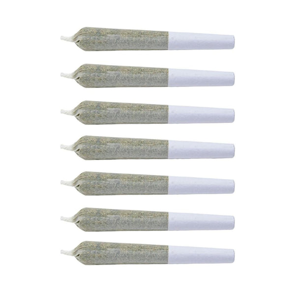 Puffin Paradise The Cloud Pre-Roll — Smokey's | Hybrid PR | Cannabis Delivery & Pickup