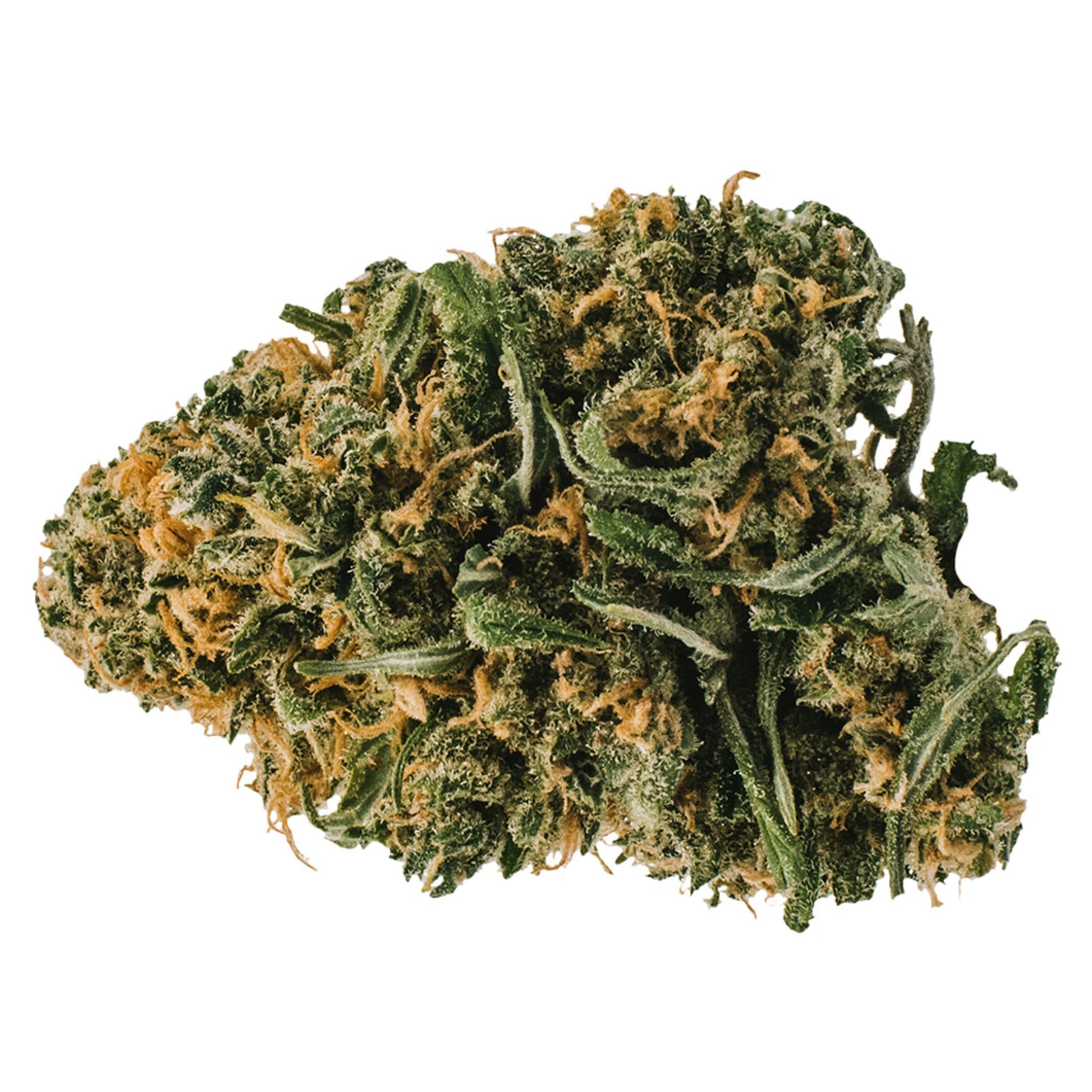 Redecan Animal Rntz | Smokey's