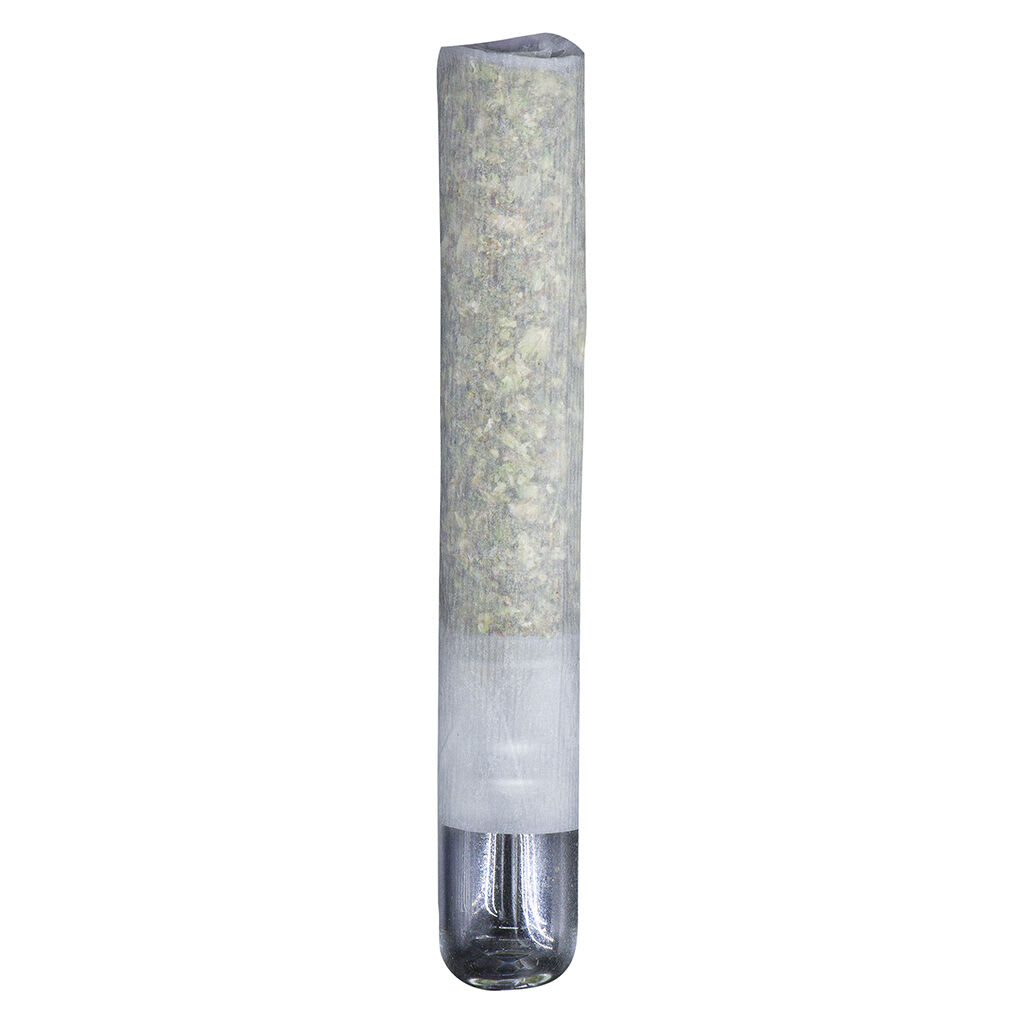 Northern Canna The Collective Glass Tip Infused Pre-Roll | Smokey's