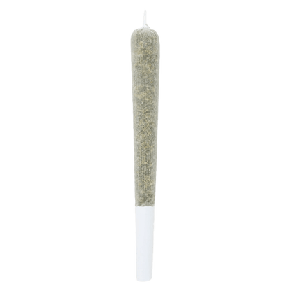 Lamplighter Tiger Berry Infused Pre-Roll | Smokey's
