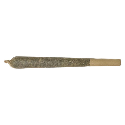 XPLOR Level X Watermelon G-Bear Infused Pre-Roll | Smokey's