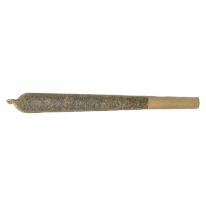 XPLOR Level X Watermelon G-Bear Infused Pre-Roll | Smokey's