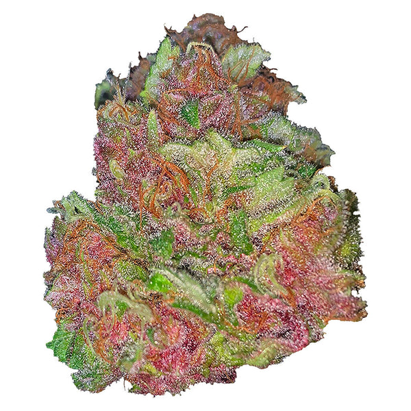 Silky Continental Tropical Papaya — Smokey's | Sativa | Cannabis Delivery & Pickup