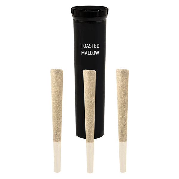 Stunnerz Fuzed Campfire Dream Infused Pre-Roll — Smokey's | Hybrid PR | Cannabis Delivery & Pickup