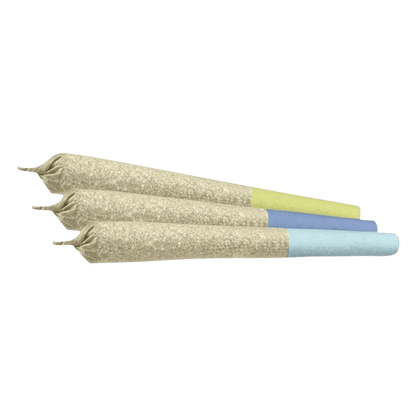 Versus Neon Rush Infused Pre-Roll | Smokey's