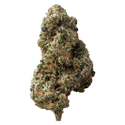 The Loud Plug Sticky Bunz | Smokey's