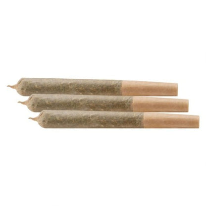 Craftport Meteor Bomb Pre-Roll | Smokey's