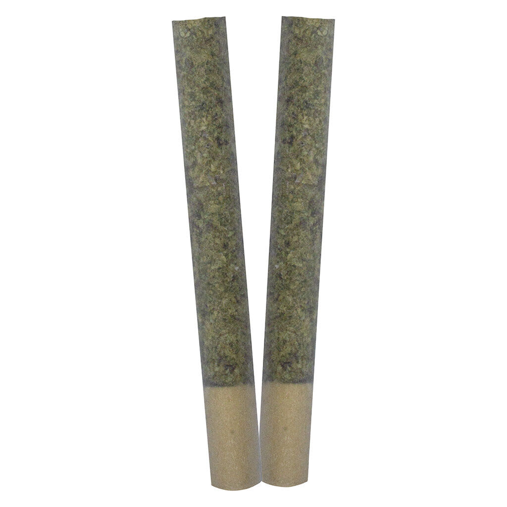 TRYGG IGNITE Pre-Roll | Smokey's