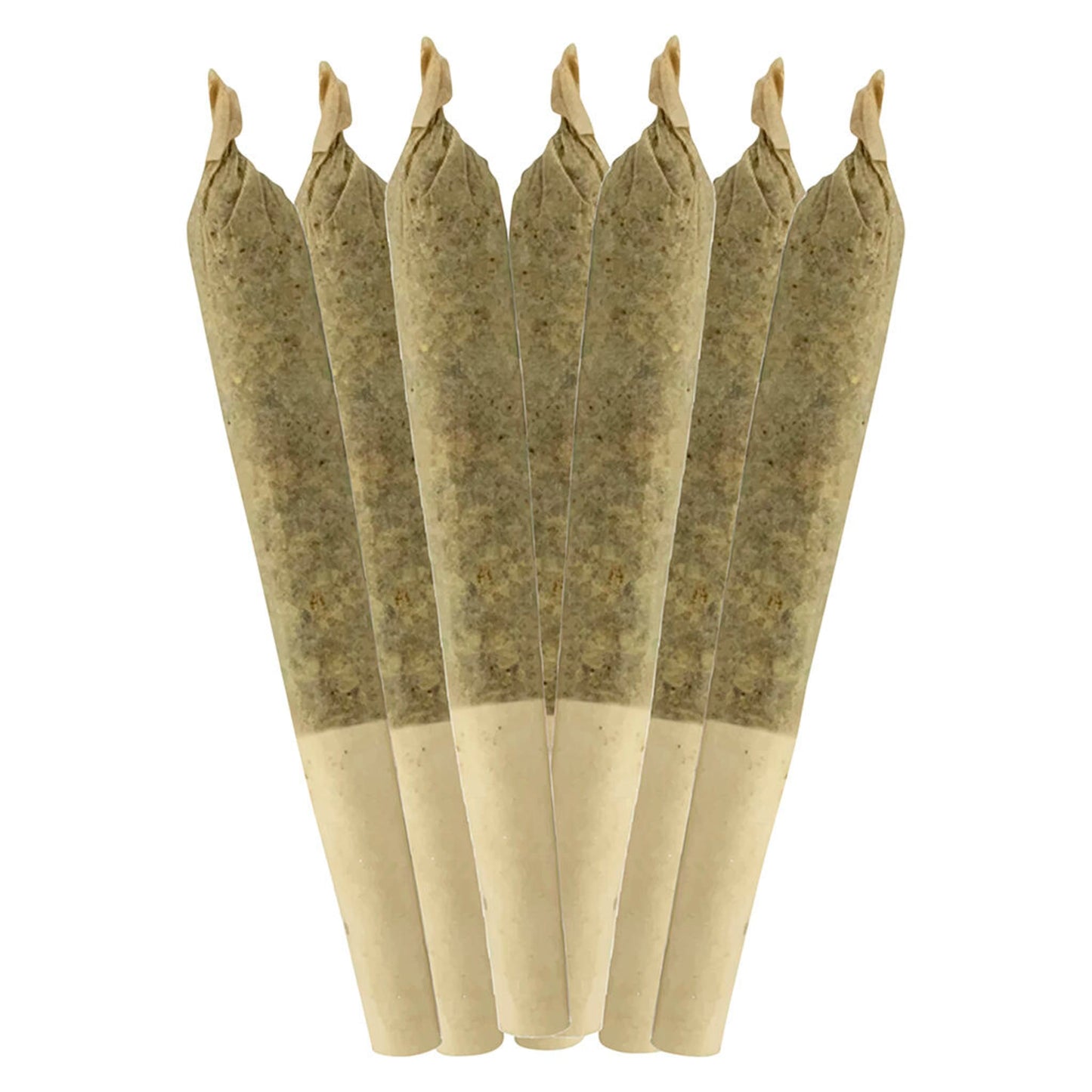 Sheeesh! Dia De Los Muertos Pre-Roll | Smokey's