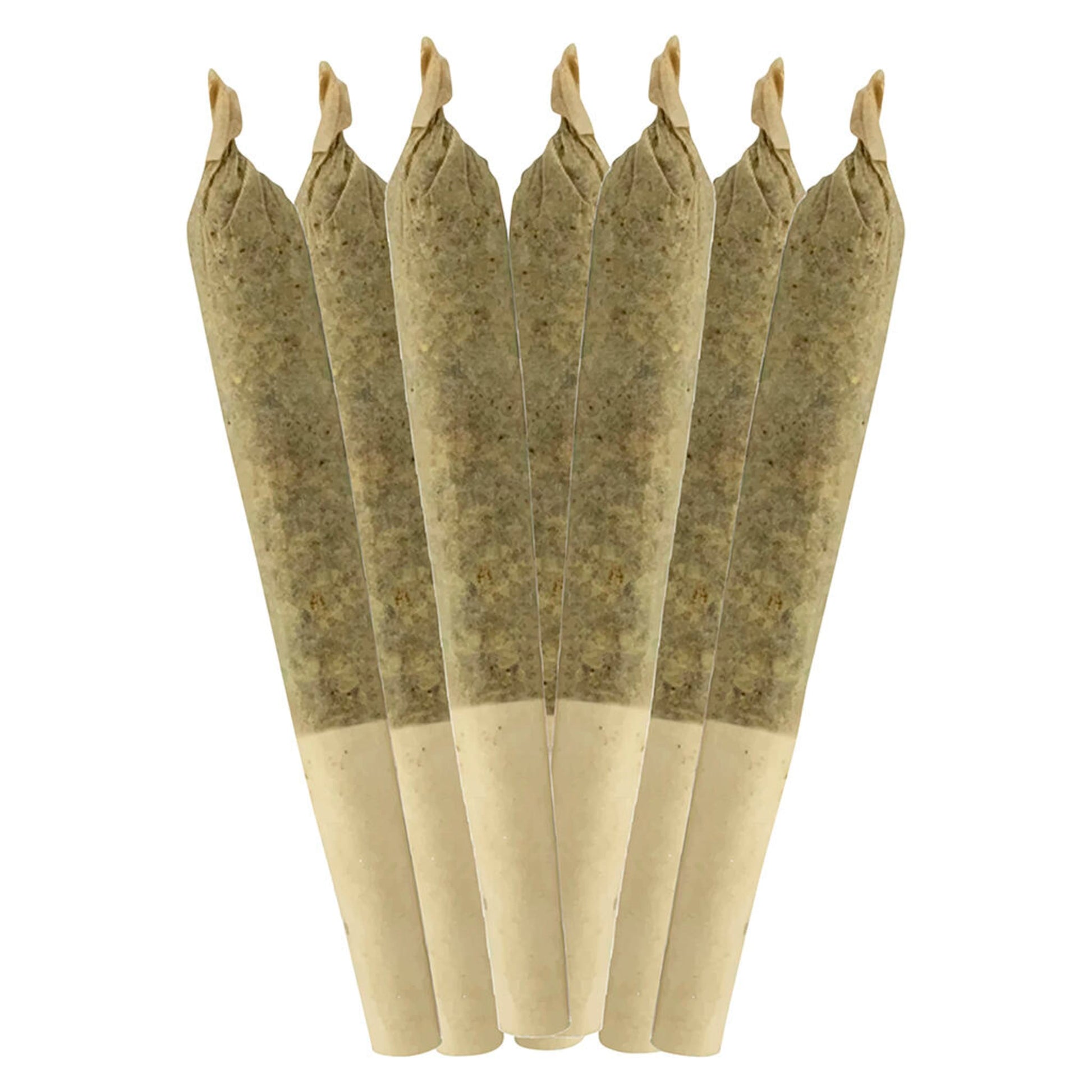 Sheeesh! Dia De Los Muertos Pre-Roll | Smokey's