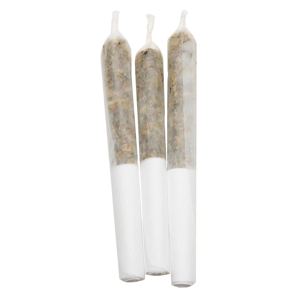 Lamplighter Pineapple Coconut Escape Infused Pre-Roll | Smokey's