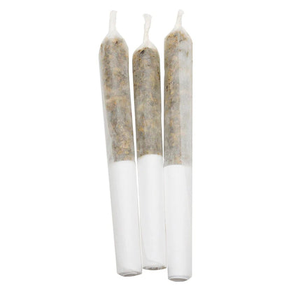 Lamplighter Pineapple Coconut Escape Infused Pre-Roll | Smokey's