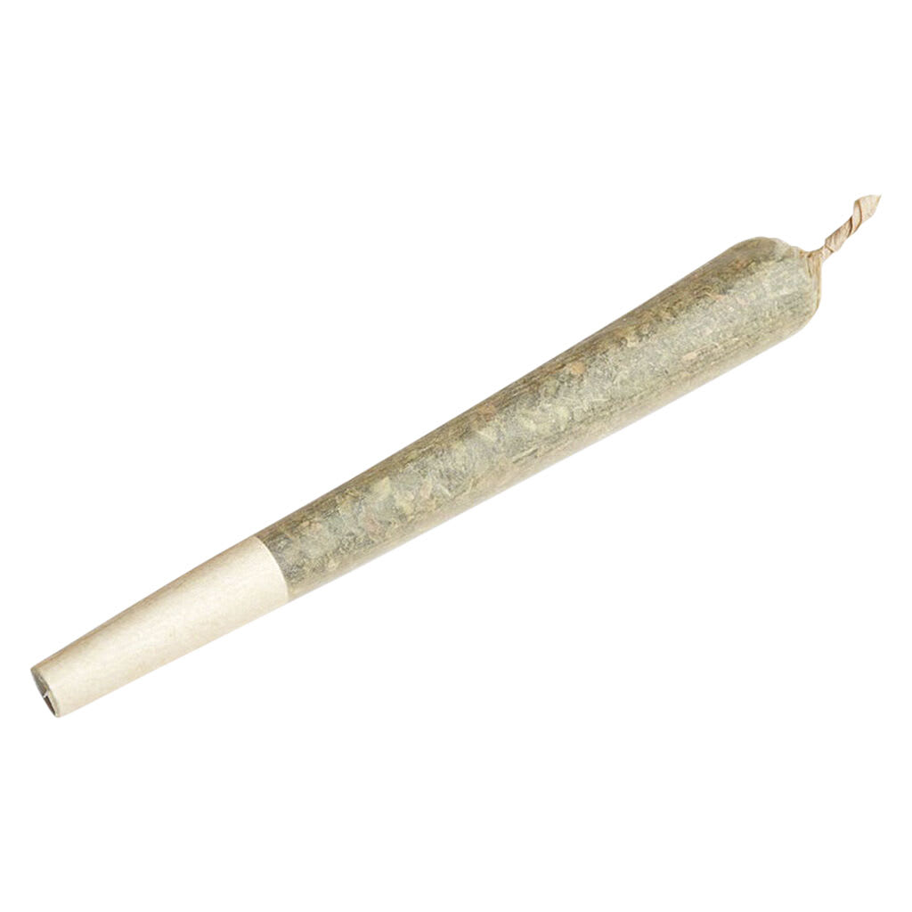 Terp Town Collective Sherbhead Pre-Roll