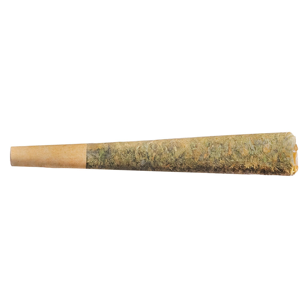 Fuego Night Rider Pre-Roll | Smokey's