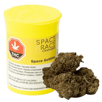 SPACE RACE Space Goblins | Smokey's