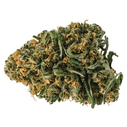 Redecan Animal Rntz | Smokey's