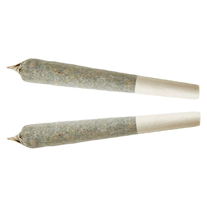 XPLOR Sativa Pre-Roll | Smokey's