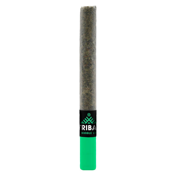 Tribal Bubble Up Pre-Roll — Smokey's | Indica PR | Cannabis Delivery & Pickup