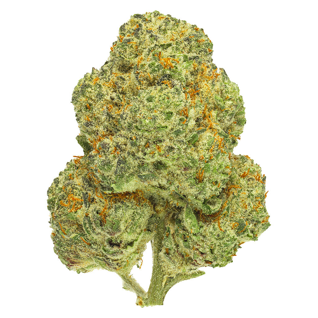 San Rafael '71 Chemango Kush | Smokey's