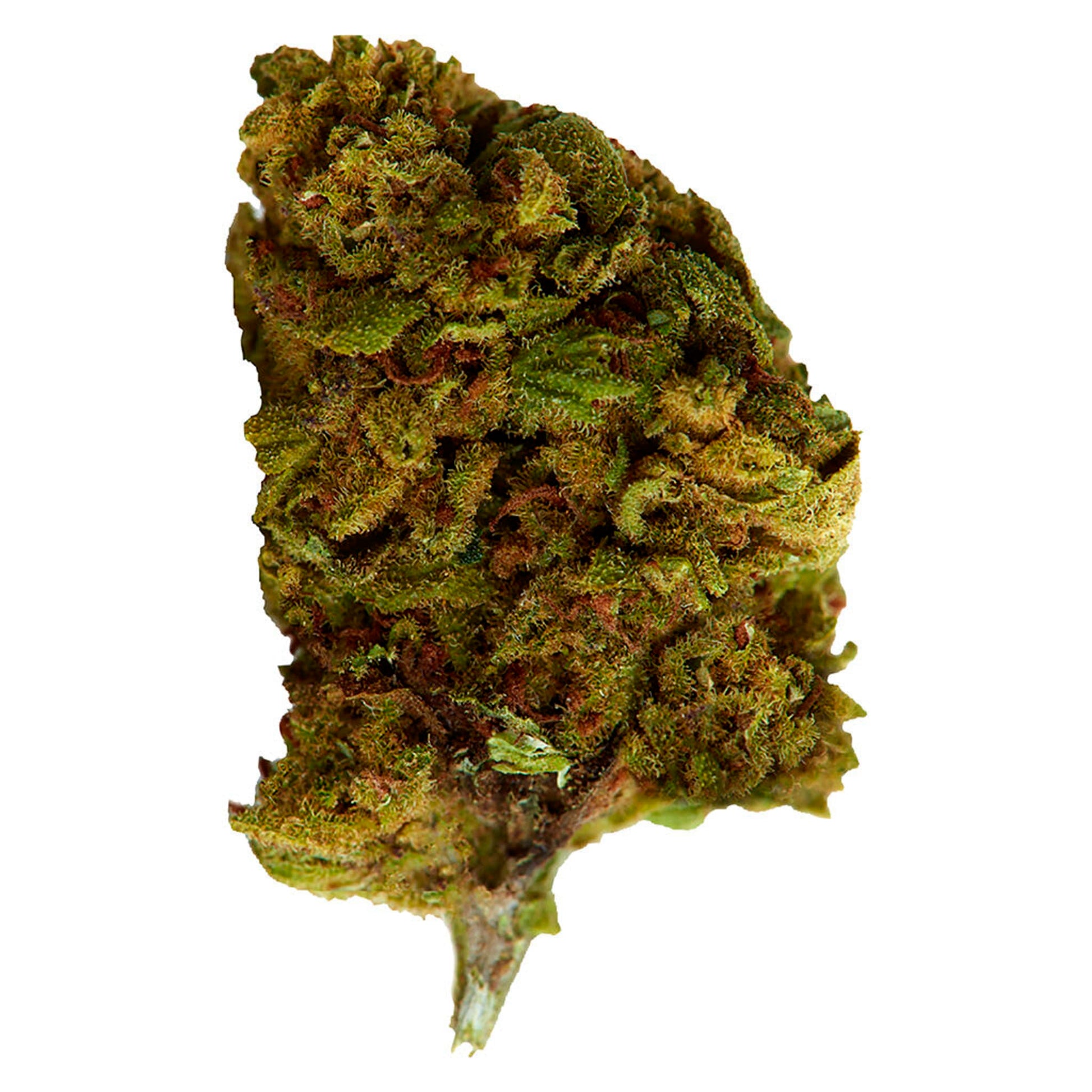 Versus Bubba Kush | Smokey's