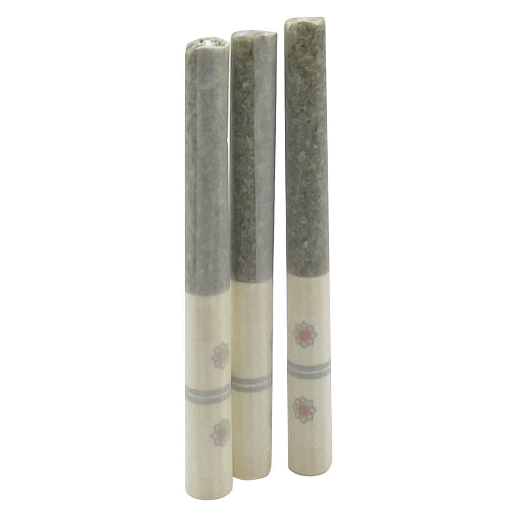 November Rain Blast Blueberry Pre-Roll | Smokey's