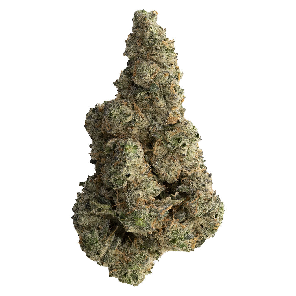 The Loud Plug With Love From Scarborough | Smokey's
