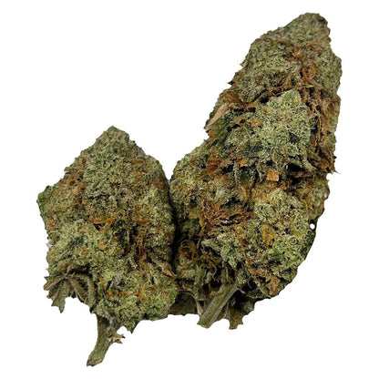 Puffer's Paradise Honah Lee Haze