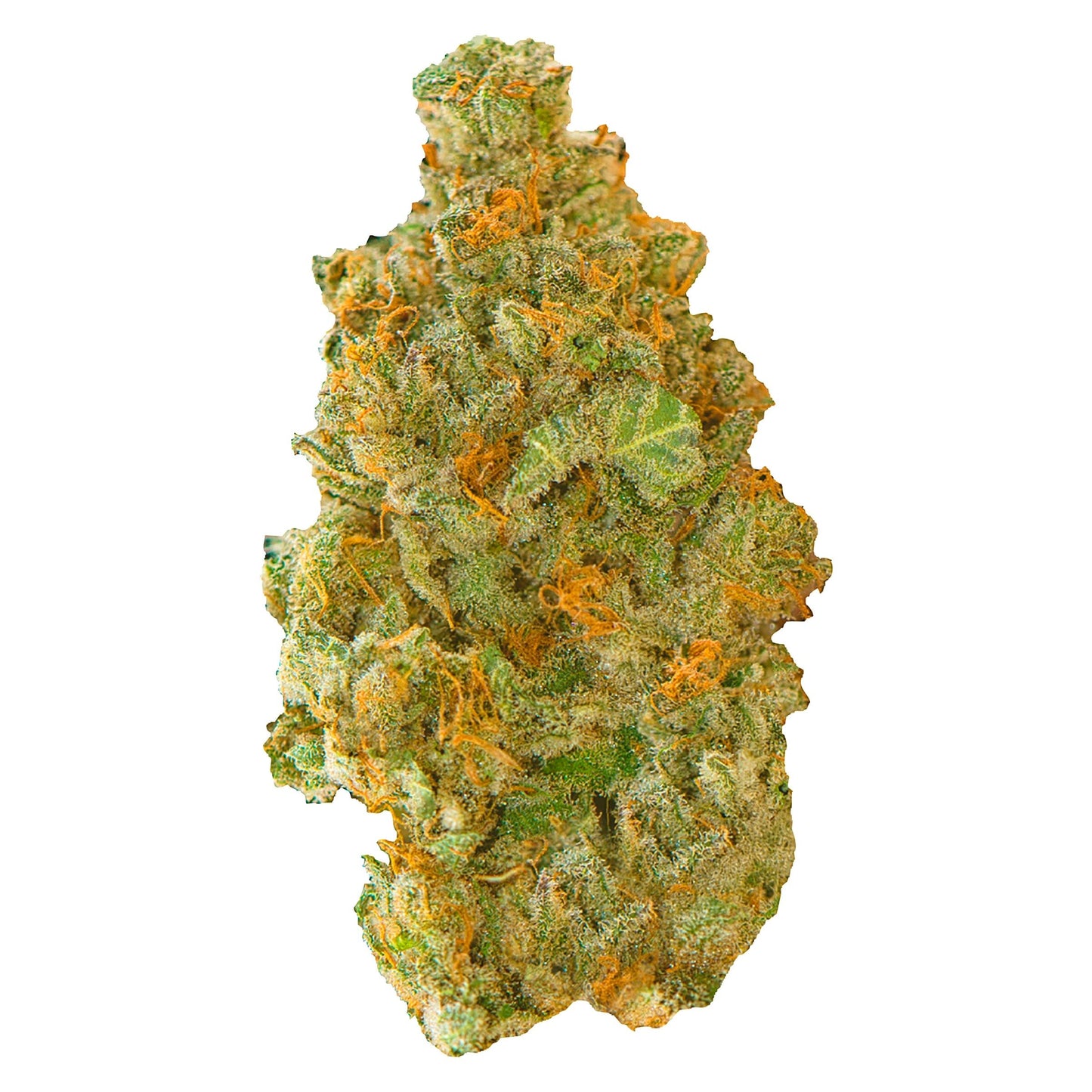 Contraband Golden Tangie | Smokey's
