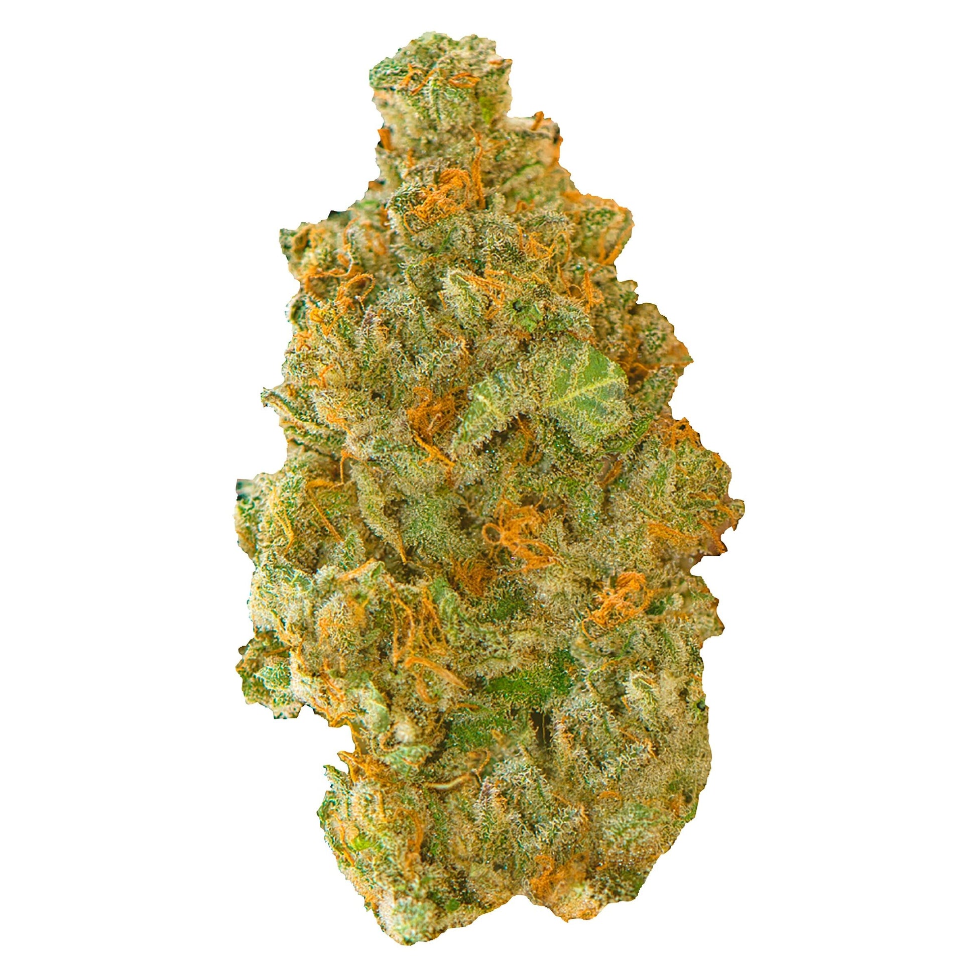 Contraband Golden Tangie | Smokey's