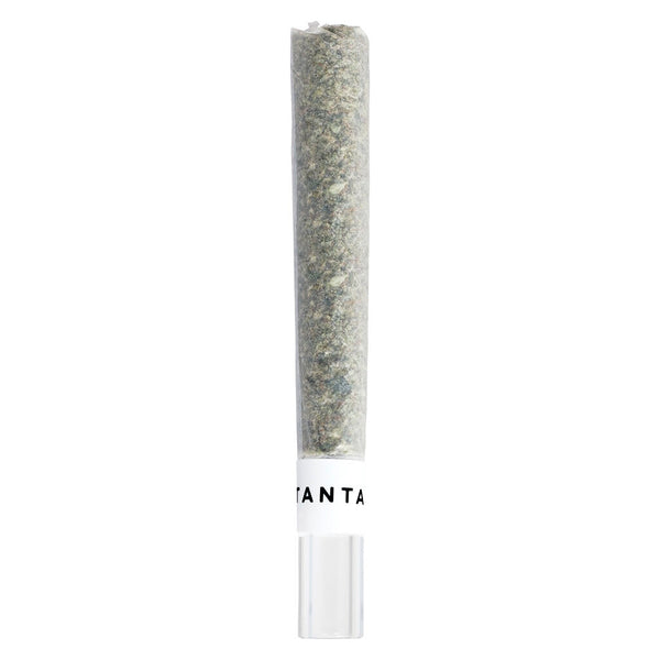 Tantalus Mai Tai x Zero Gravity Glass Tip Pre-Roll — Smokey's | Sativa PR | Cannabis Delivery & Pickup