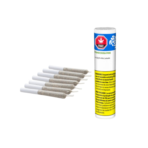 Ponderosa Pine Pre-Roll — Smokey's | Sativa PR | Cannabis Delivery & Pickup