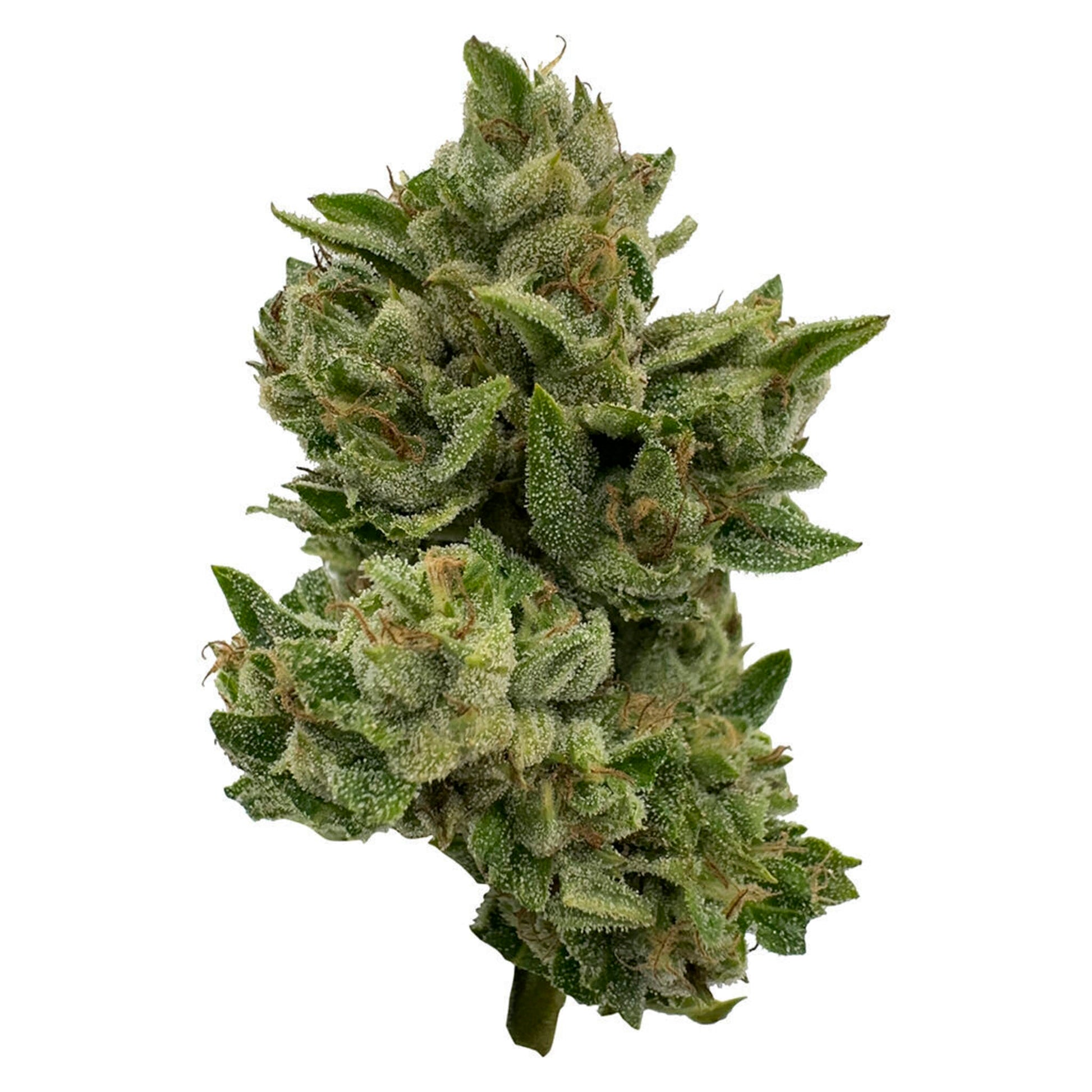 Deelish Pretty Sweet | Smokey's