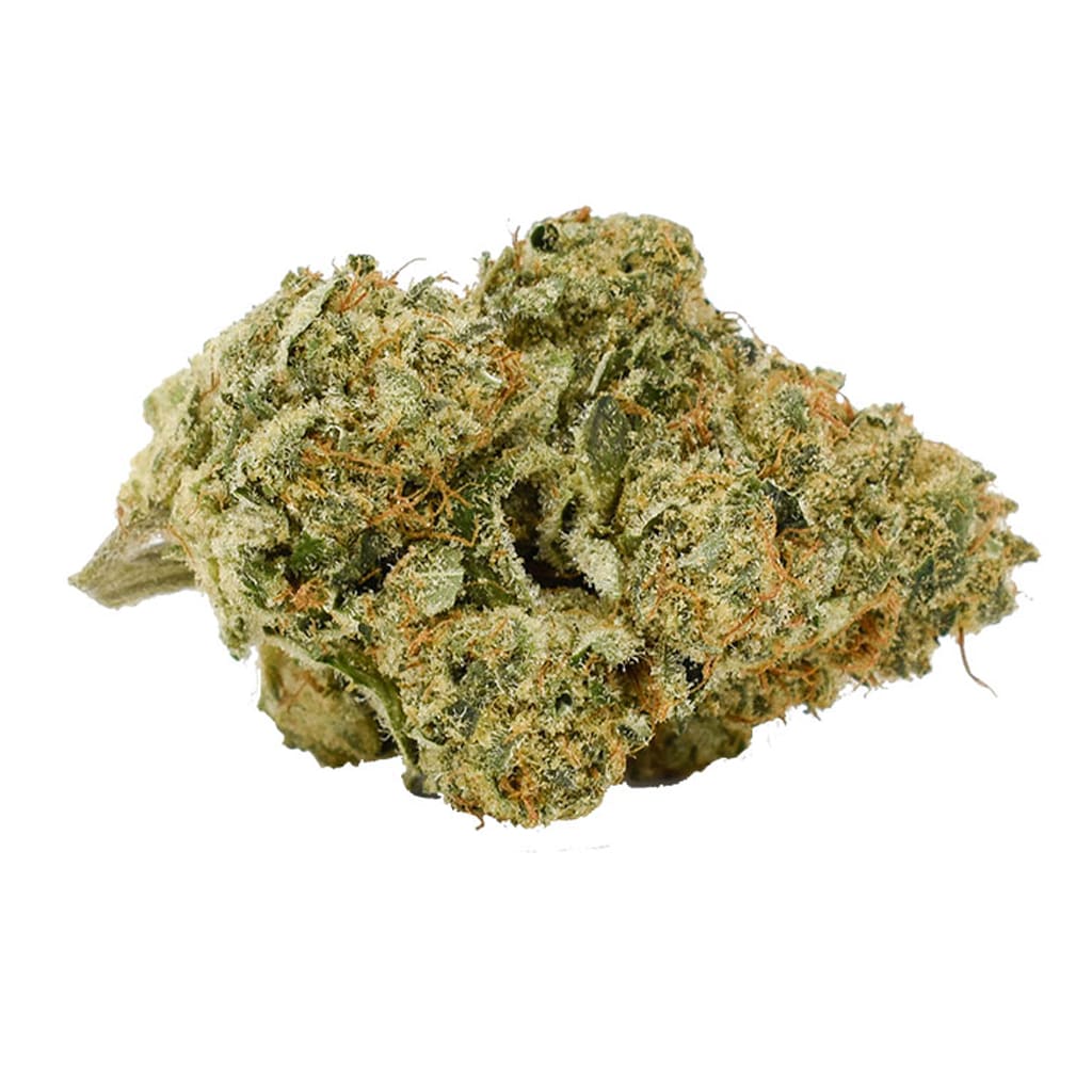 CALI Mmmosa EVO | Smokey's