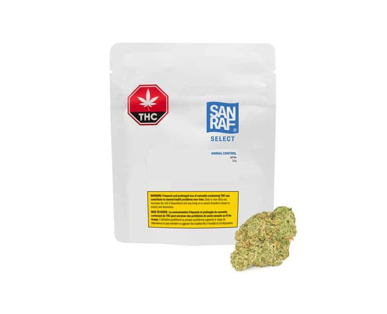 San Raf Select Animal Control — Smokey's | Sativa | Cannabis Delivery & Pickup