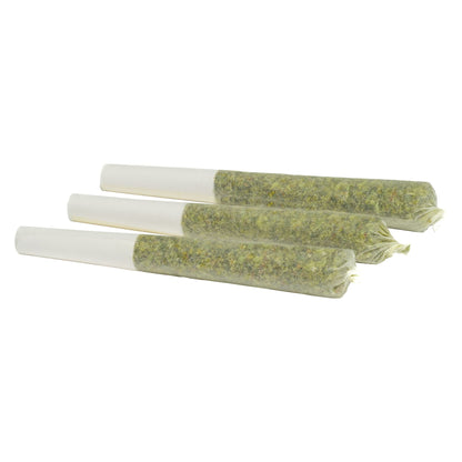 Greybeard Critical Diesel Pre-Roll | Smokey's