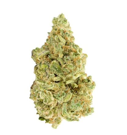 Versus White Widow | Smokey's
