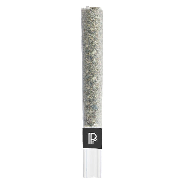 Pistol and Paris Bubble Hash Glass Tip Infused Pre-Roll — Smokey's | Indica PR | Cannabis Delivery & Pickup