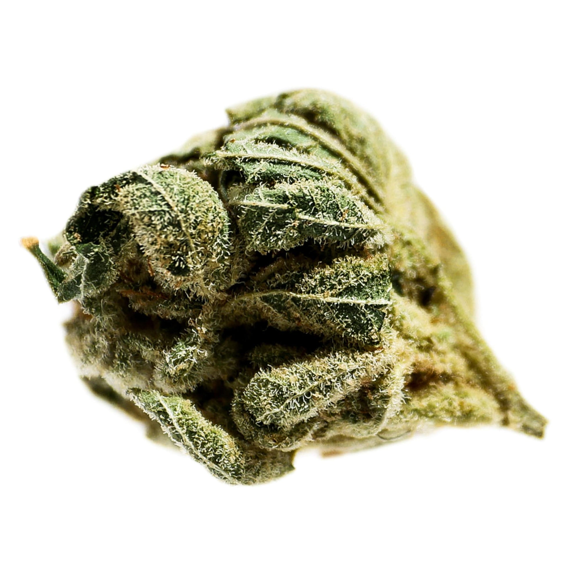 Potluck Frosted Cherry | Smokey's