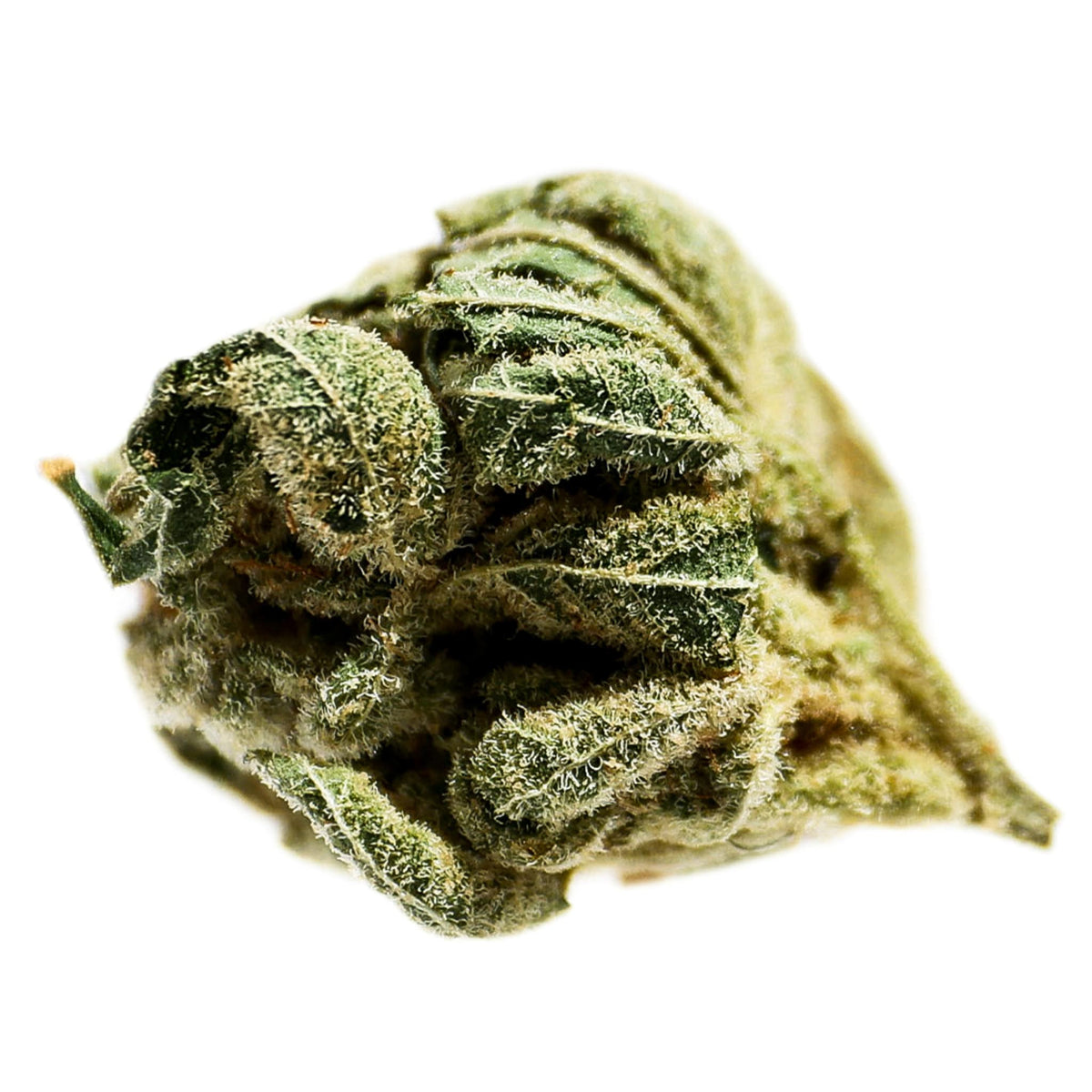 Potluck Frosted Cherry | Smokey's